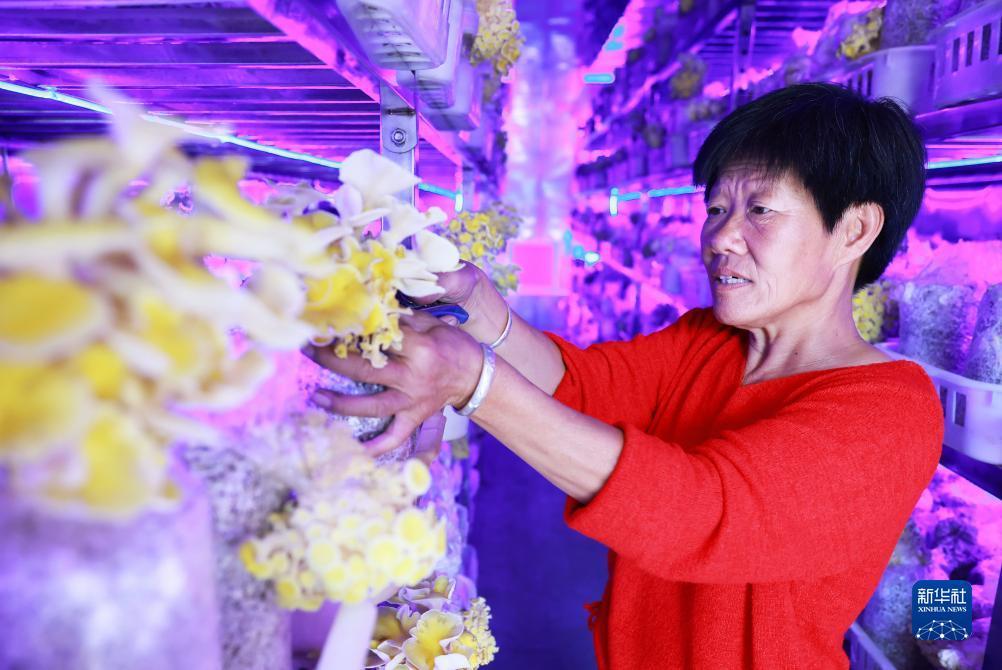 乐玩游戏下载页